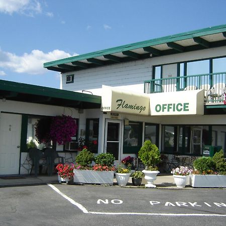 Flamingo Motel Πέντικτον Εξωτερικό φωτογραφία
