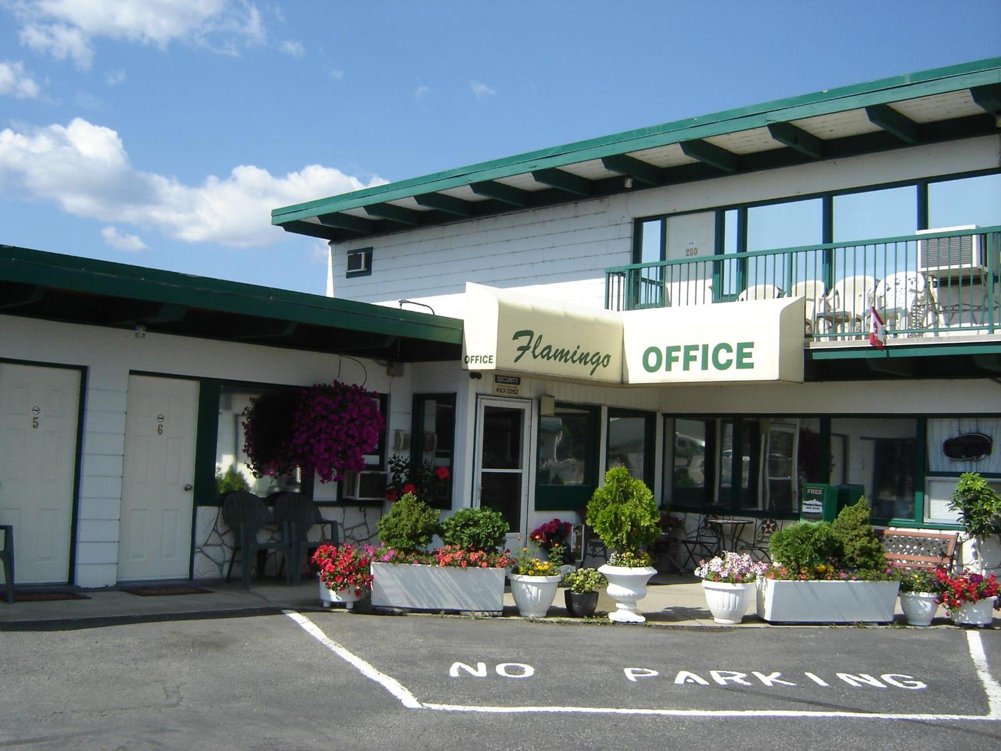 Flamingo Motel Πέντικτον Εξωτερικό φωτογραφία