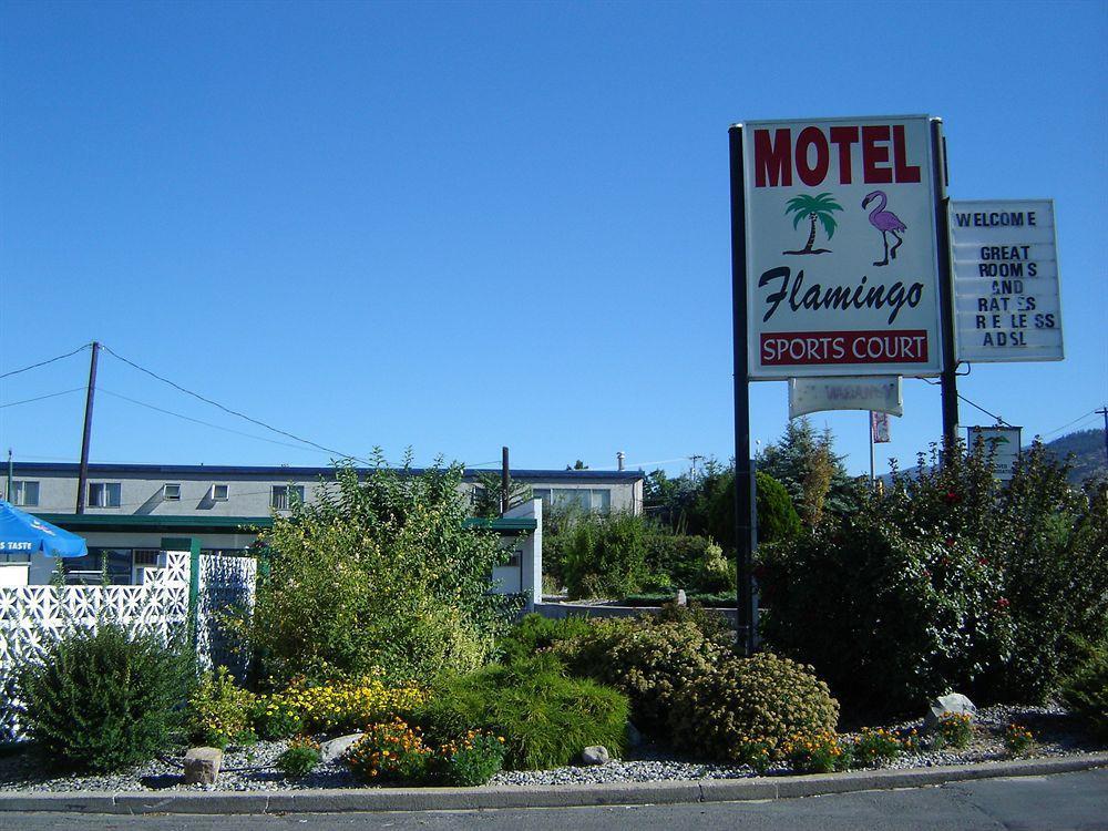 Flamingo Motel Πέντικτον Εξωτερικό φωτογραφία