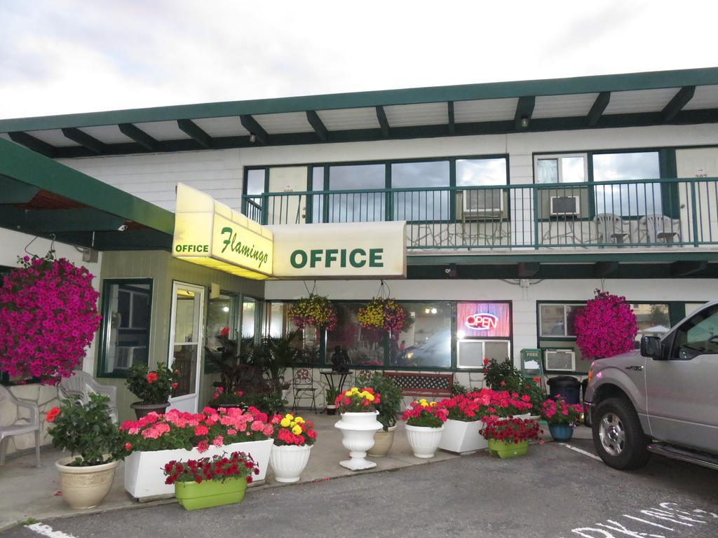 Flamingo Motel Πέντικτον Εξωτερικό φωτογραφία