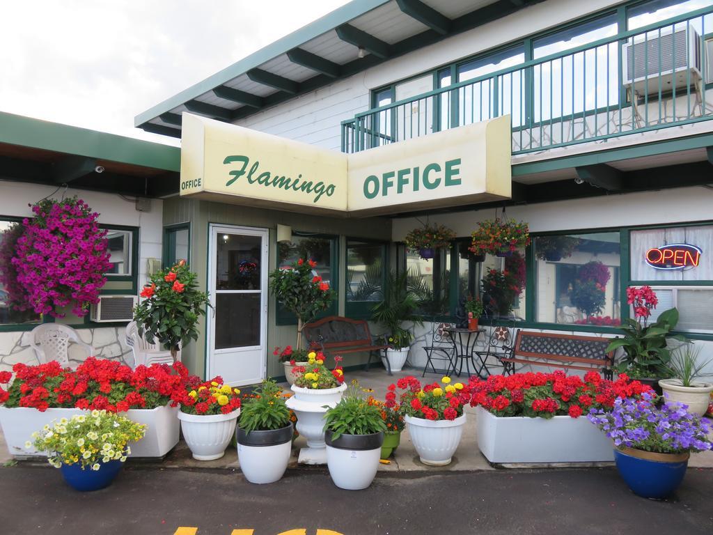 Flamingo Motel Πέντικτον Εξωτερικό φωτογραφία