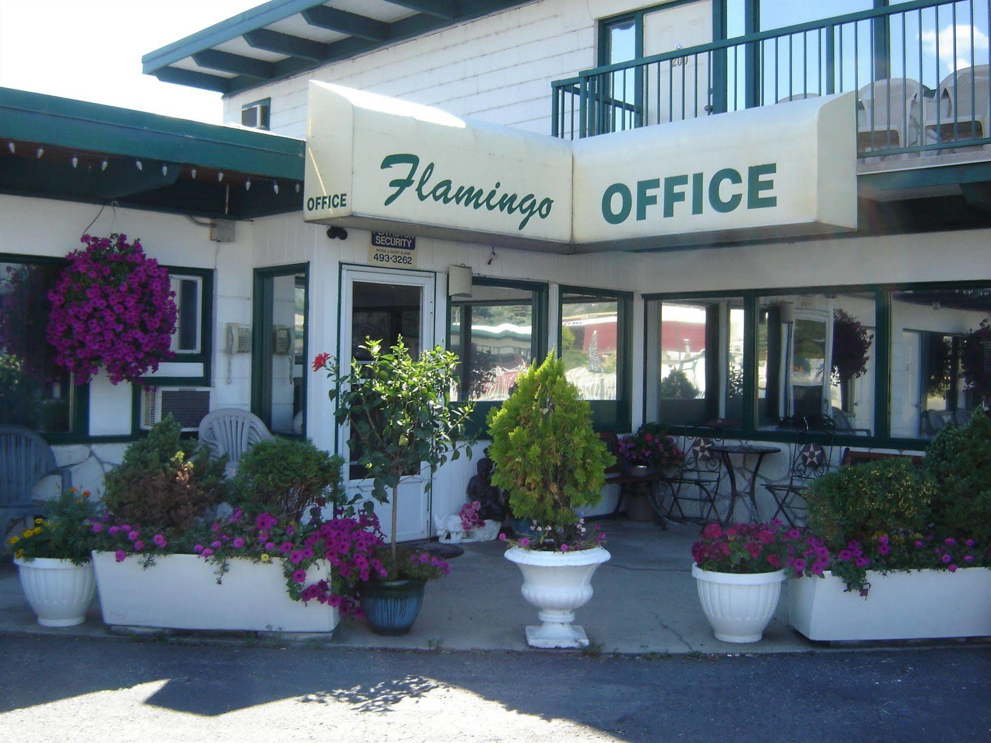 Flamingo Motel Πέντικτον Εξωτερικό φωτογραφία